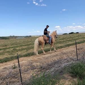 Meet your Posher, Alfredo